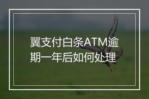 翼支付白条ATM逾期一年后如何处理