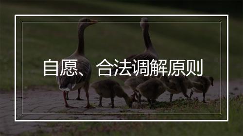 自愿、合法调解原则