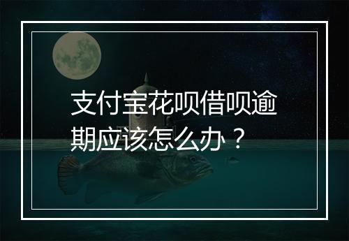 支付宝花呗借呗逾期应该怎么办？