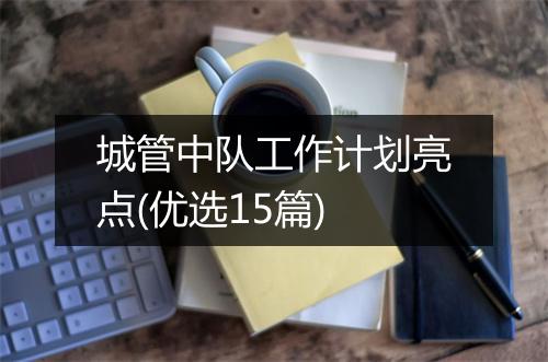 城管中队工作计划亮点(优选15篇)