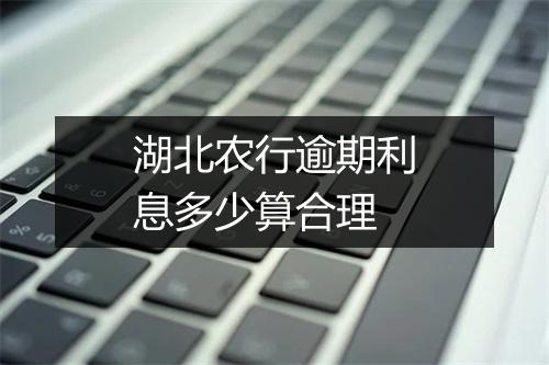 湖北农行逾期利息多少算合理