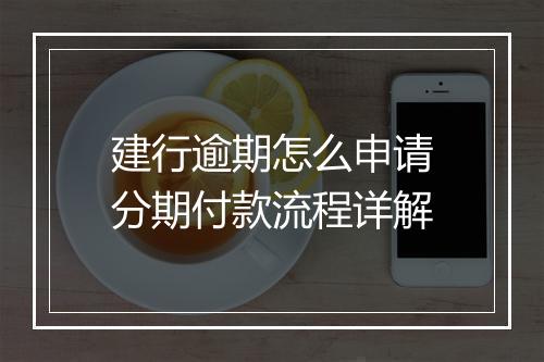 建行逾期怎么申请分期付款流程详解