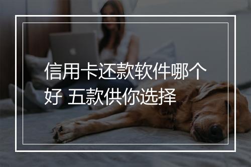 信用卡还款软件哪个好 五款供你选择