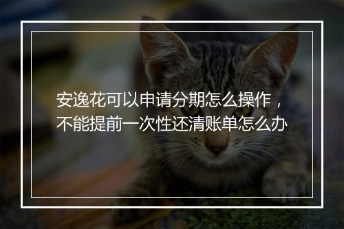 安逸花可以申请分期怎么操作，不能提前一次性还清账单怎么办