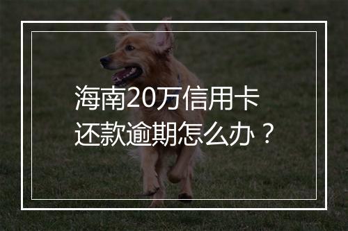 海南20万信用卡还款逾期怎么办？