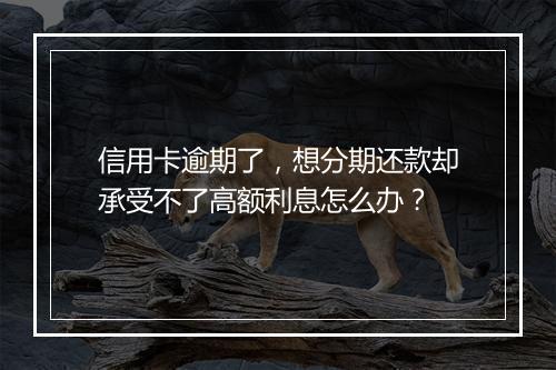 信用卡逾期了，想分期还款却承受不了高额利息怎么办？