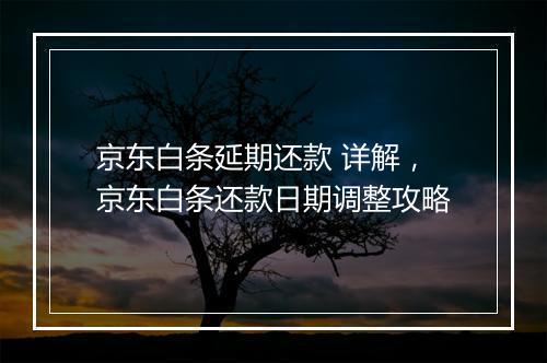 京东白条延期还款 详解，京东白条还款日期调整攻略
