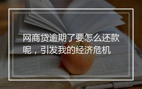 网商贷逾期了要怎么还款呢，引发我的经济危机