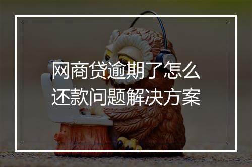 网商贷逾期了怎么还款问题解决方案