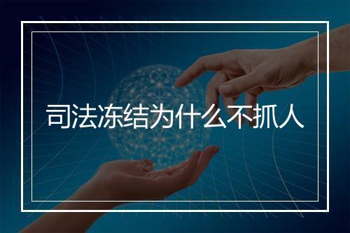 司法冻结为什么不抓人