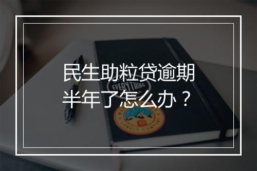 民生助粒贷逾期半年了怎么办？