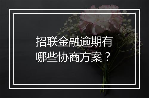 招联金融逾期有哪些协商方案？