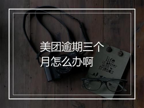 美团逾期三个月怎么办啊