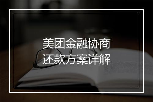 美团金融协商还款方案详解