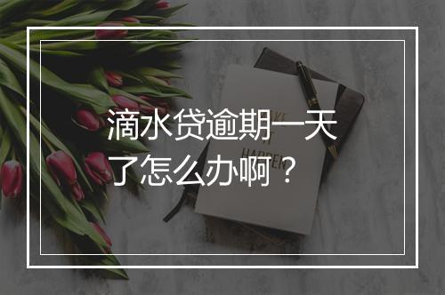 滴水贷逾期一天了怎么办啊？