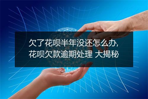 欠了花呗半年没还怎么办,花呗欠款逾期处理 大揭秘