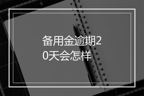 备用金逾期20天会怎样