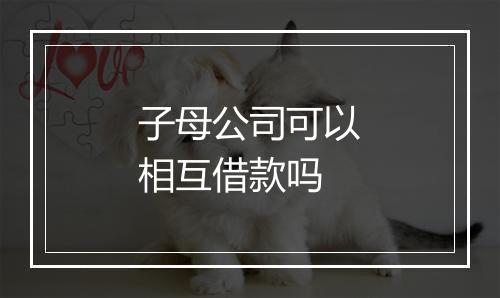 子母公司可以相互借款吗
