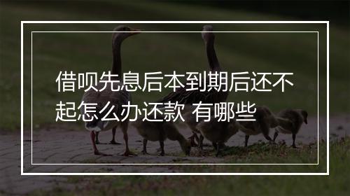 借呗先息后本到期后还不起怎么办还款 有哪些