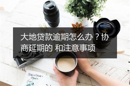 大地贷款逾期怎么办？协商延期的 和注意事项