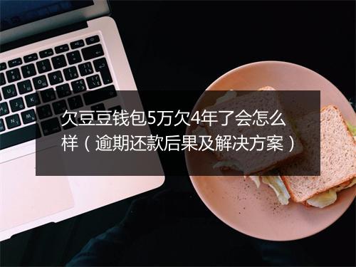 欠豆豆钱包5万欠4年了会怎么样（逾期还款后果及解决方案）