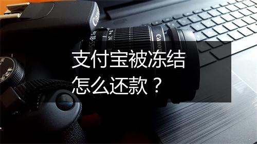 支付宝被冻结怎么还款？