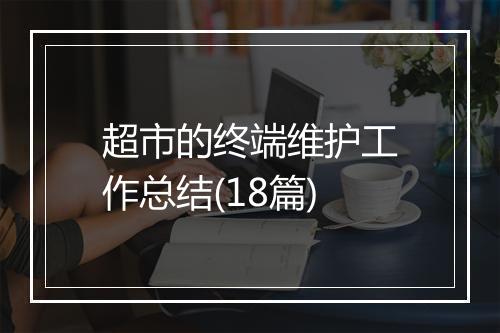 超市的终端维护工作总结(18篇)