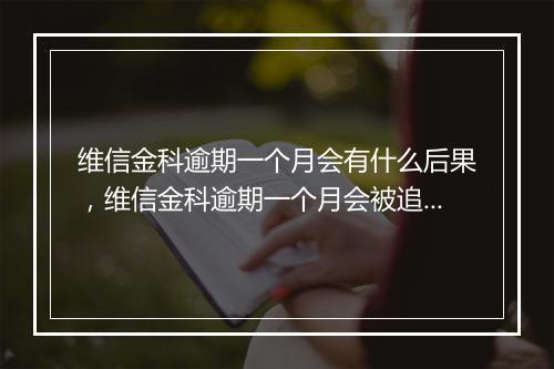 维信金科逾期一个月会有什么后果，维信金科逾期一个月会被追责吗