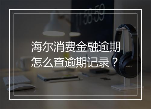 海尔消费金融逾期怎么查逾期记录？