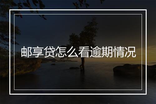 邮享贷怎么看逾期情况