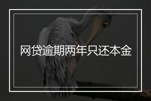 网贷逾期两年只还本金