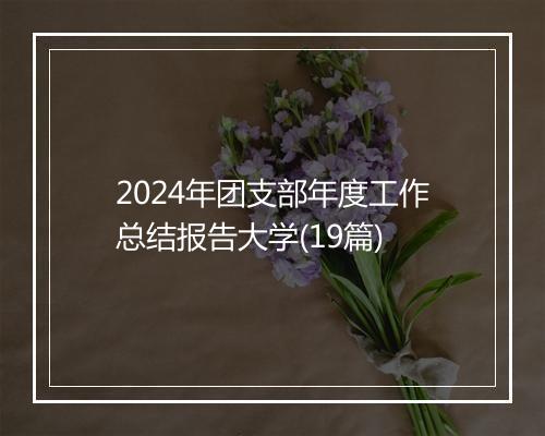 2024年团支部年度工作总结报告大学(19篇)