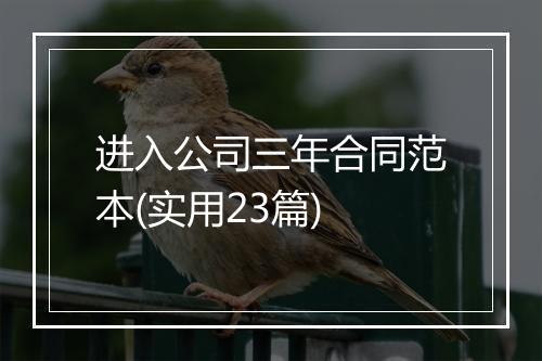 进入公司三年合同范本(实用23篇)
