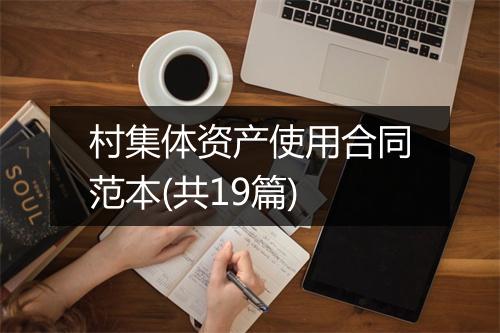 村集体资产使用合同范本(共19篇)