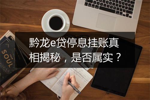 黔龙e贷停息挂账真相揭秘，是否属实？