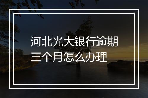 河北光大银行逾期三个月怎么办理
