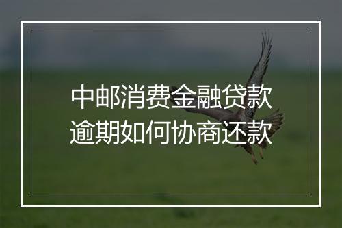 中邮消费金融贷款逾期如何协商还款