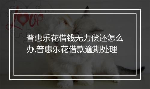 普惠乐花借钱无力偿还怎么办,普惠乐花借款逾期处理