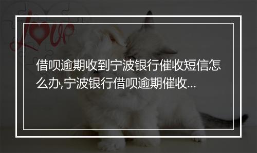 借呗逾期收到宁波银行催收短信怎么办,宁波银行借呗逾期催收流程解析