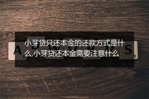 小芽贷只还本金的还款方式是什么,小芽贷还本金需要注意什么