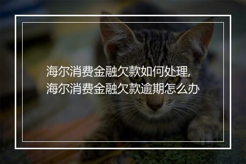 海尔消费金融欠款如何处理,海尔消费金融欠款逾期怎么办