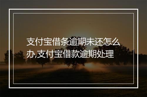 支付宝借条逾期未还怎么办,支付宝借款逾期处理