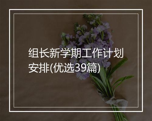 组长新学期工作计划安排(优选39篇)