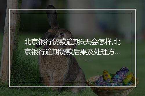 北京银行贷款逾期6天会怎样,北京银行逾期贷款后果及处理方式