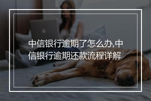 中信银行逾期了怎么办,中信银行逾期还款流程详解