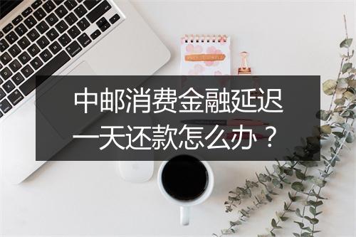 中邮消费金融延迟一天还款怎么办？