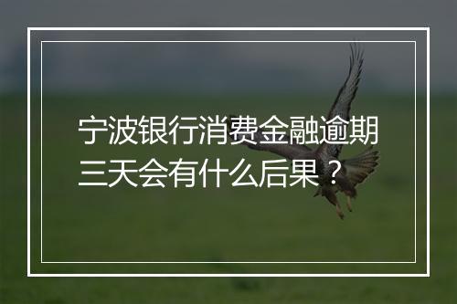 宁波银行消费金融逾期三天会有什么后果？