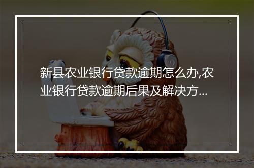 新县农业银行贷款逾期怎么办,农业银行贷款逾期后果及解决方案