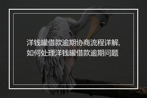 洋钱罐借款逾期协商流程详解,如何处理洋钱罐借款逾期问题
