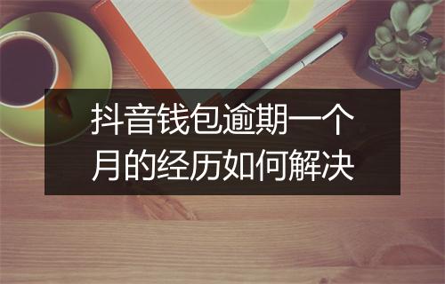 抖音钱包逾期一个月的经历如何解决